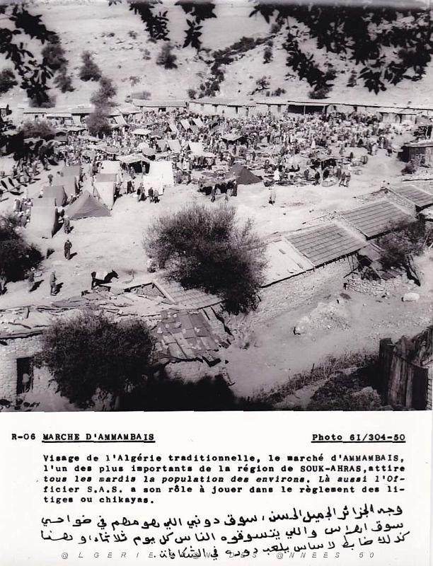 Algerie propagande 046.jpg